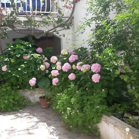 Studio Kuljis Appartement Vis