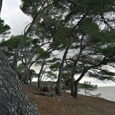 Kuljis Appartamento Vis