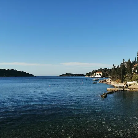 Kuljis * Vis
